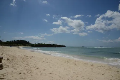 DSC_7643 (Large).JPG